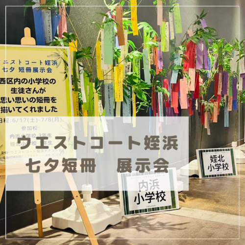 地域の小学生の七夕短冊を展示中