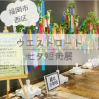 地域の小学生の七夕短冊を展示中